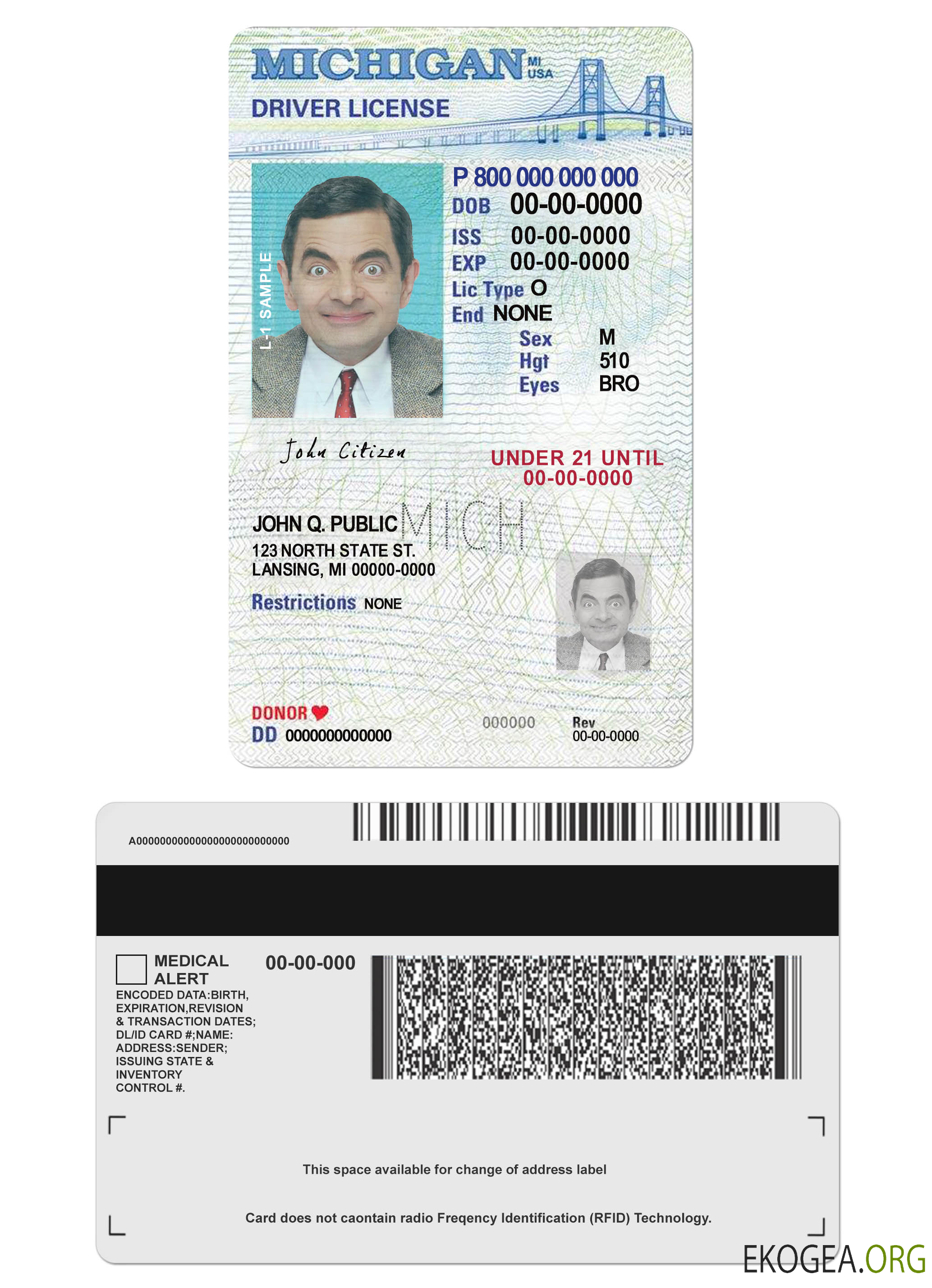 USA Michigan driving license under 21